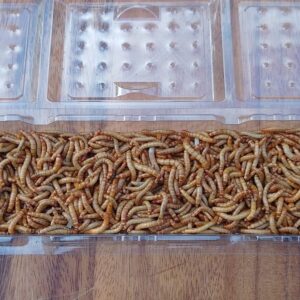 EntoPro Live Mealworms 120g